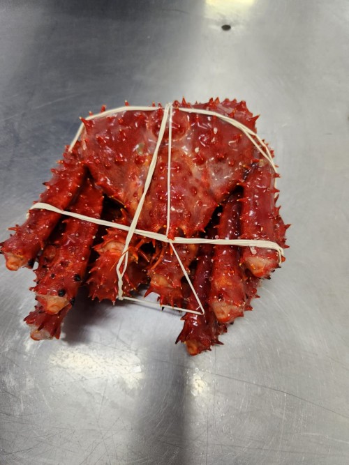 KIng Crab