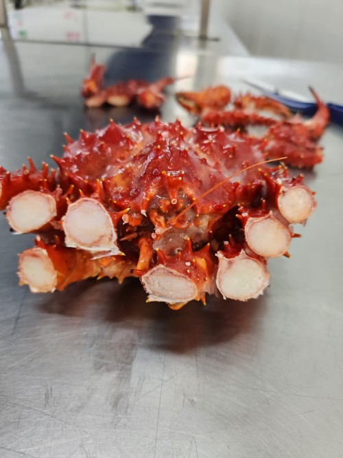 King Crab Clusters