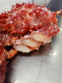 King Crab Whole Round