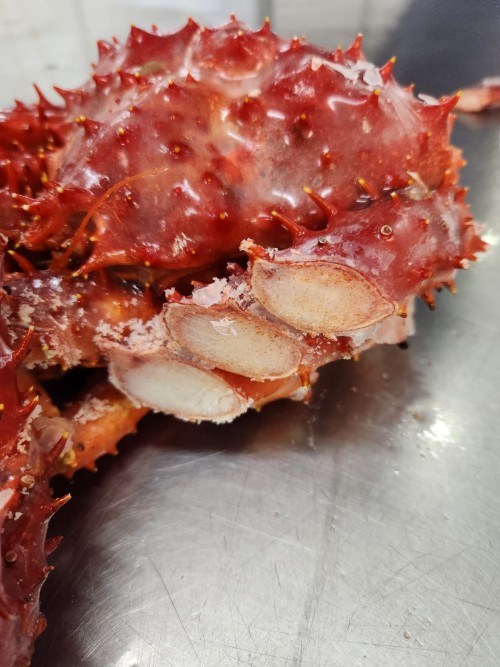 King Crab Whole Round